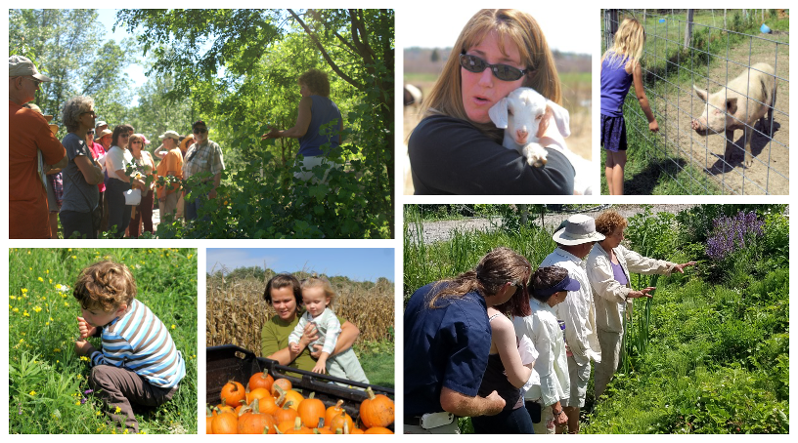 Collage of photos taken during many different farm tours throughout the years