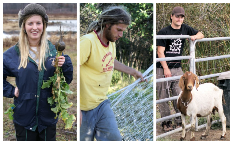 Three different volunteers helping out at the farm