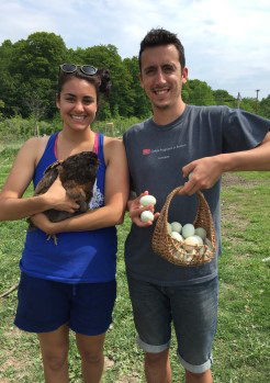 Campers collecting eggs and holding a chicken