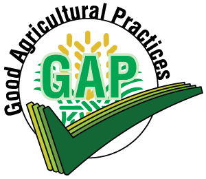GAPs logo