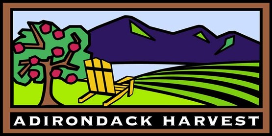 Adirondack Harvest logo