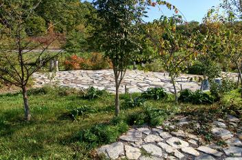 Edible Forest gathering area