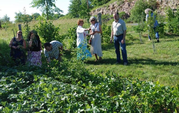 Wine and cheese event at Cross Island Farms