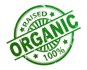 100% Raised Organic logo