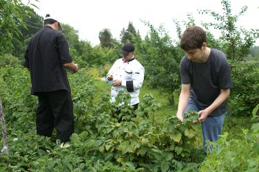 Chefs taking a tour of Edible Forest